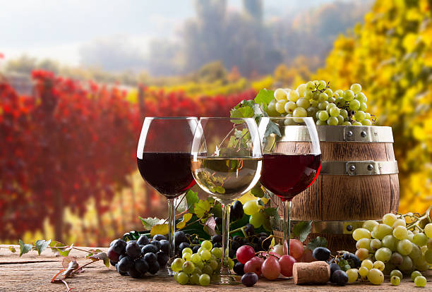Verres de vin et raisins devant un vignoble